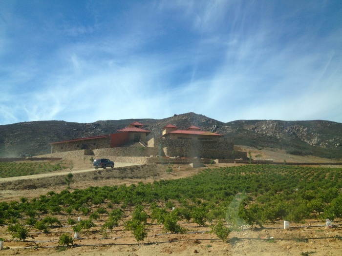 Las Nubes winery and vineyards.